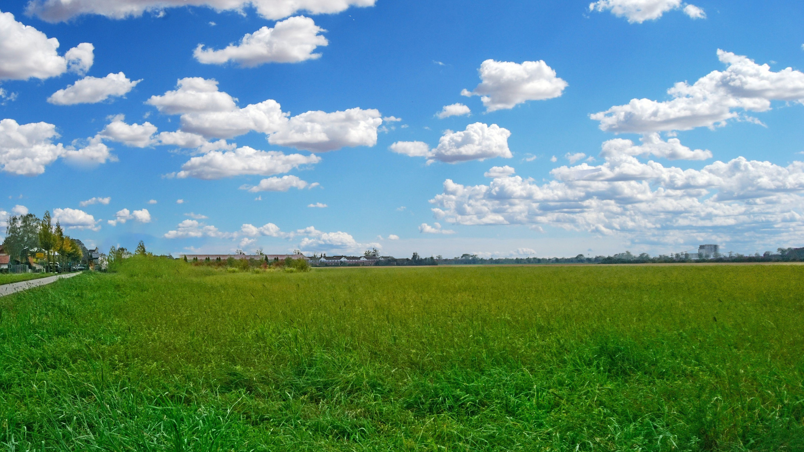 Baulandentwicklung mit eigenwert GmbH Landwirtschaftliche Grünfläche - Symbolbild für Baulandentwicklung
