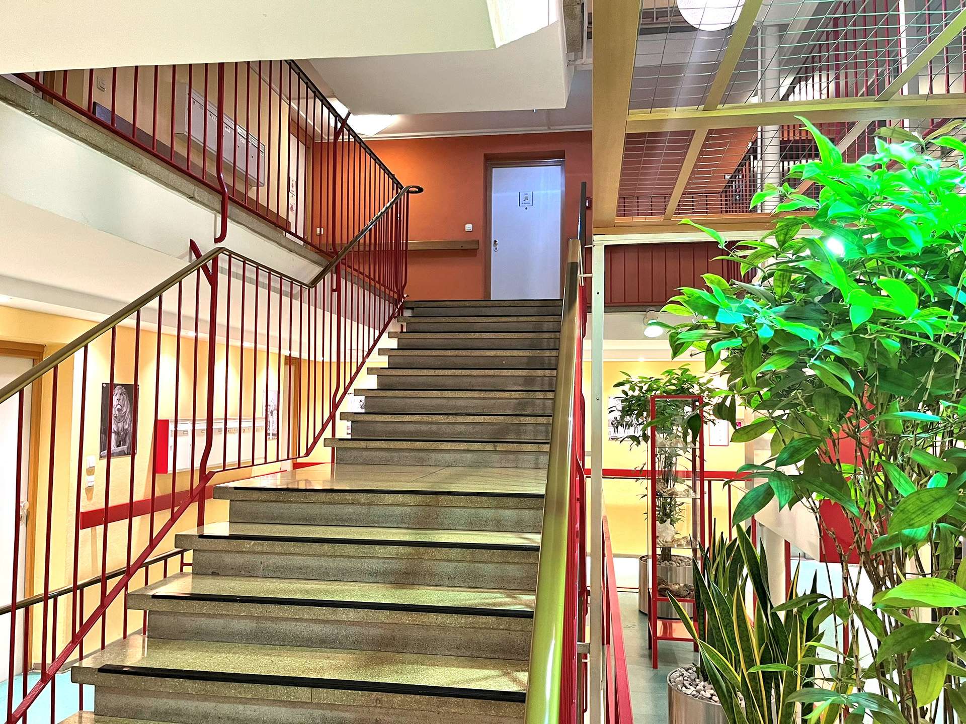 Gepflegtes Treppenhaus