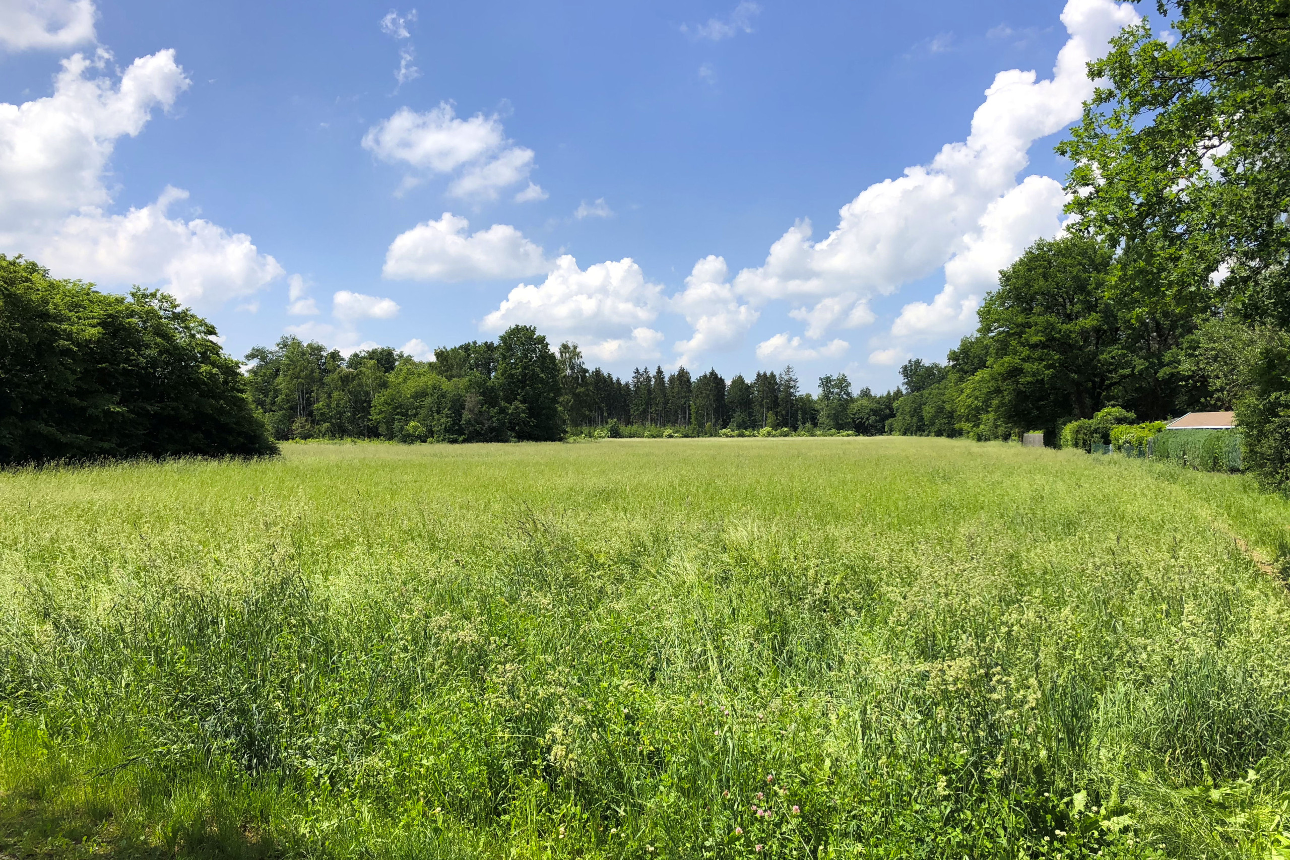 Grundstück_Gräfelfing