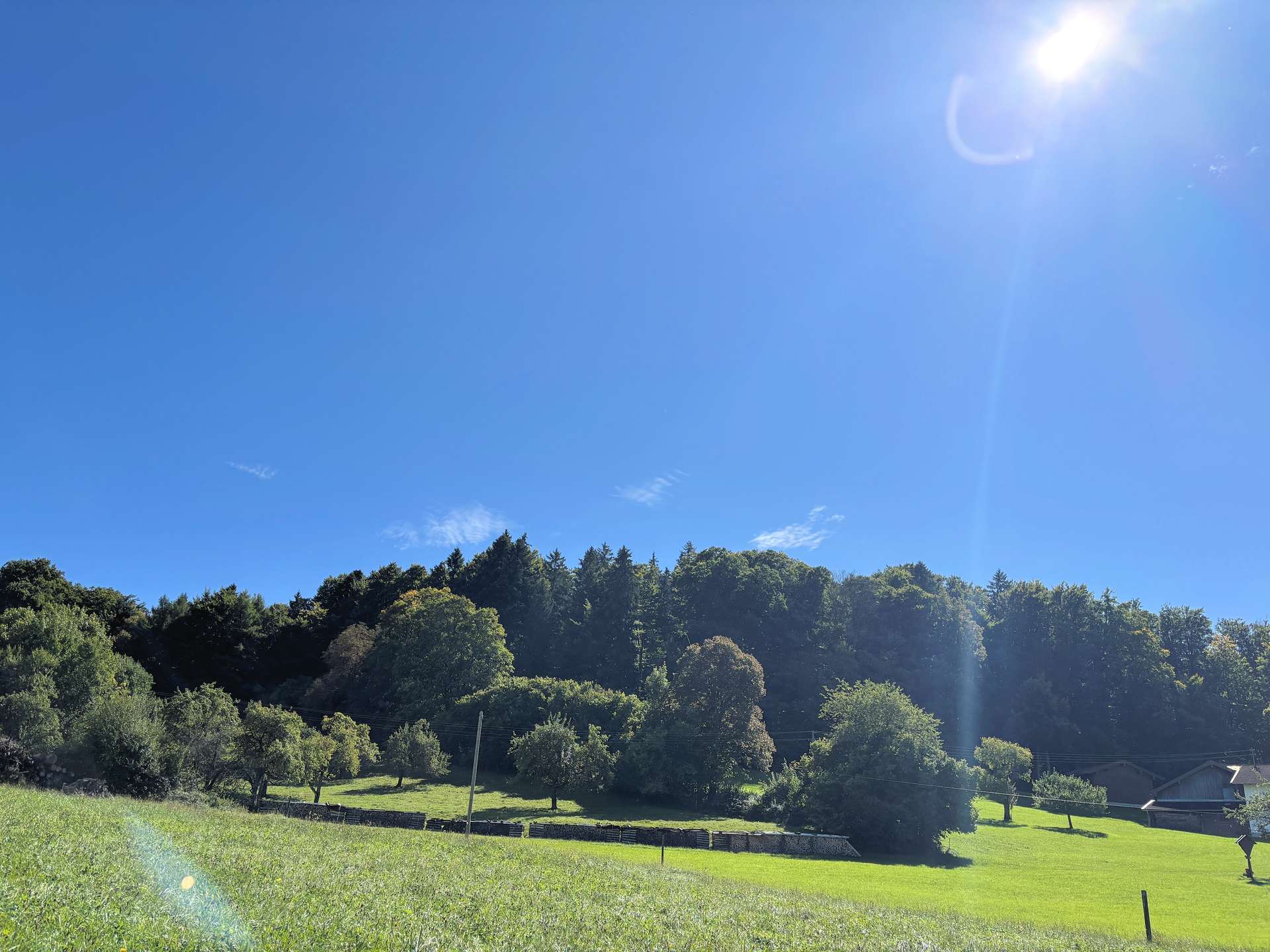Ansicht des Waldes von Nord-West
