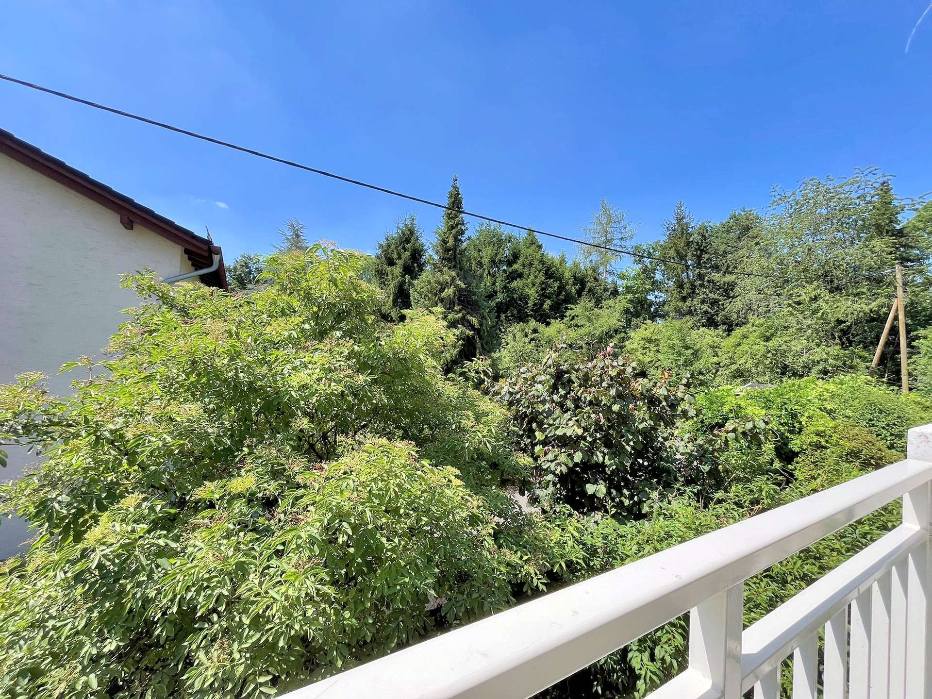 Ausblick vom Balkon ins Grüne