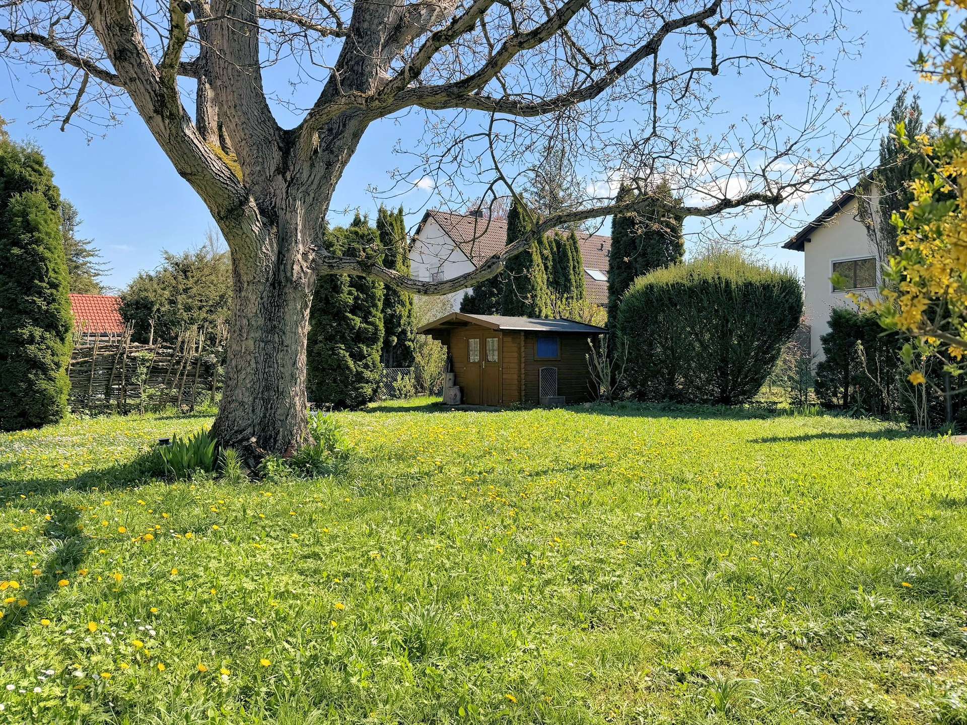 Garten Richtung Norden