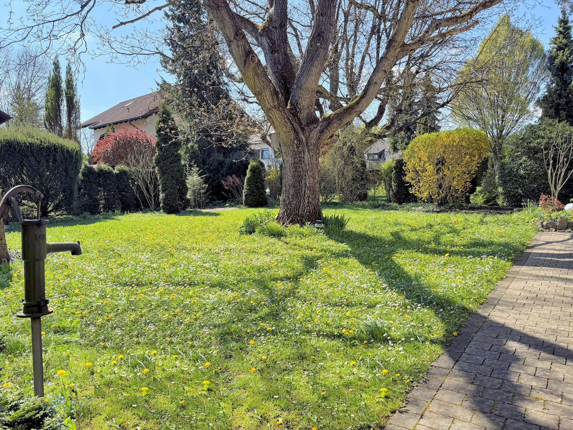 Garten Richtung Süden