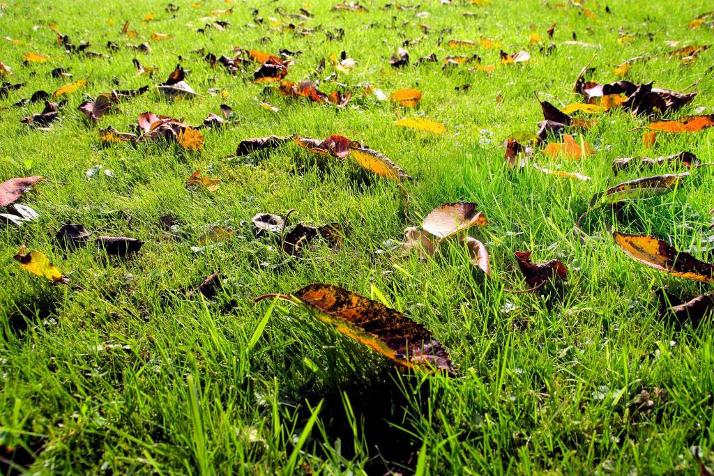 Grundstück Straßlach